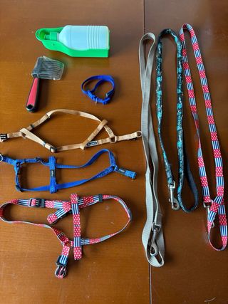 Lotto 9 Accessori per cani di taglia piccola/media