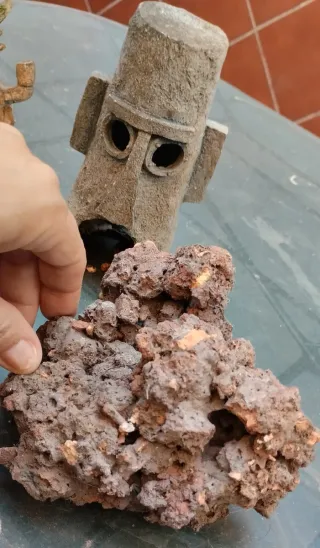 Acuario Spongebob y amigos