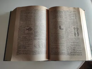 Diccionario Manual e Ilustrado de la Lengua Españo