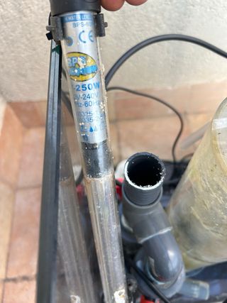 Acuario Marino + Sump + Skimmer + Bomba de subida