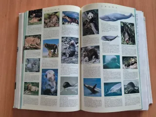 Diccionario Ilustrado: El pequeño Larousse