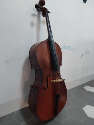 Violonchelo