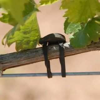 Servicios Agrícolas Manuales