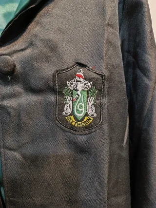 Disfraz Adulto Slytherin
