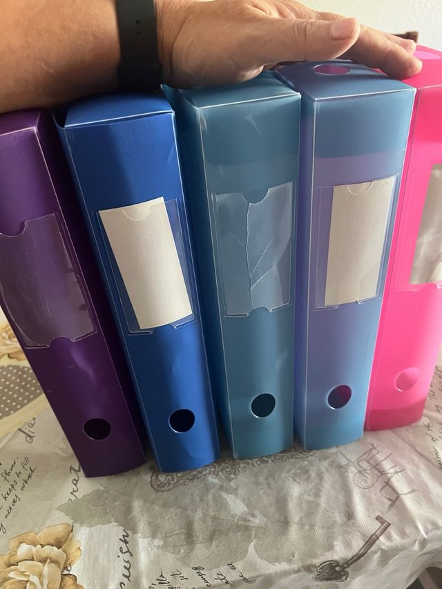 Confezione da 5 schedari in plastica.