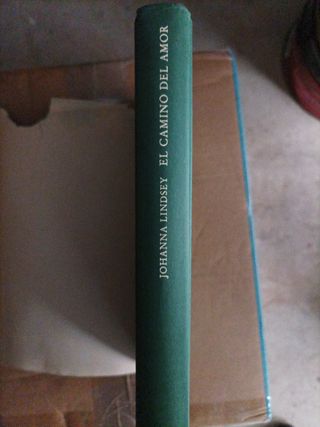 El Camino Del Amor