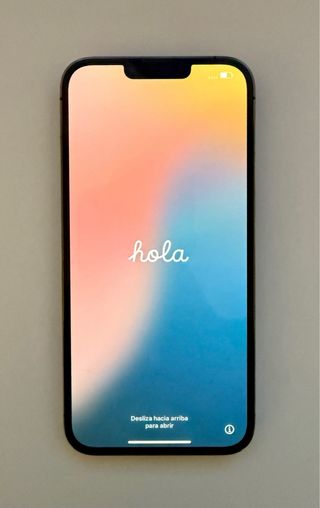 iPhone 13 Pro Max 256GB Grafito