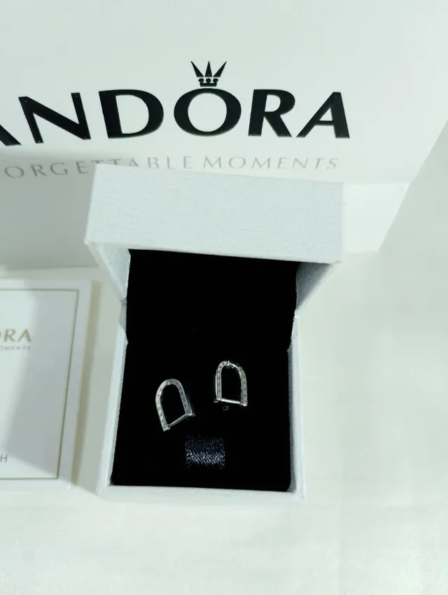 Pendientes . Lleva su caja y bolsa