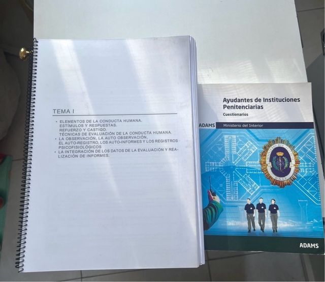 Ayudantes de instituciones penitenciarias