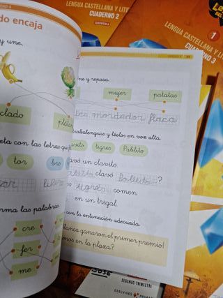 Lengua castellana y literatura, 1 Primaria cuad...