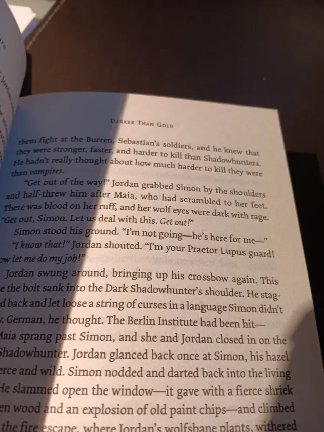 City of Bones,City of Ashes, City of Heavenly Fire