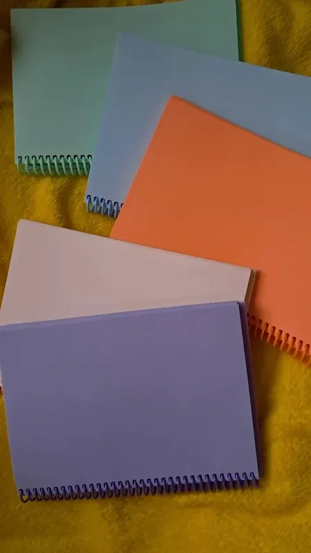 Lote de 5 cuadernos espiral colores pastel