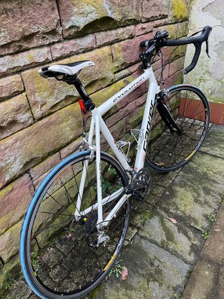 Bicicleta Carver Evolution dos