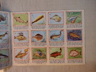 Álbum Cromos Fauna Marina Ed. Costa 1968