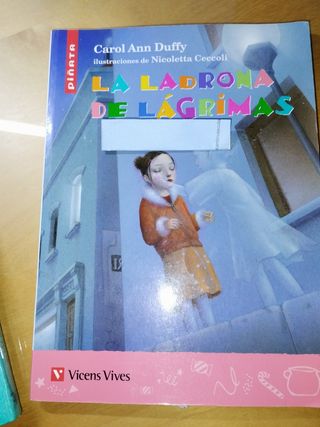 2 Libros Judy Moddy y la ladrona...