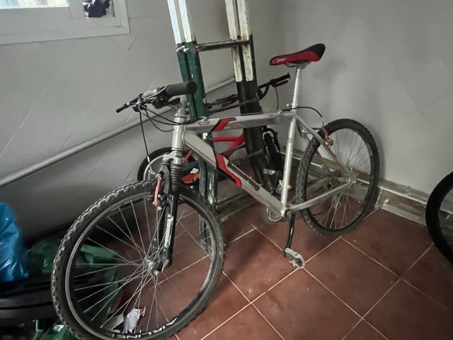 Bicicleta Boomerang Plata