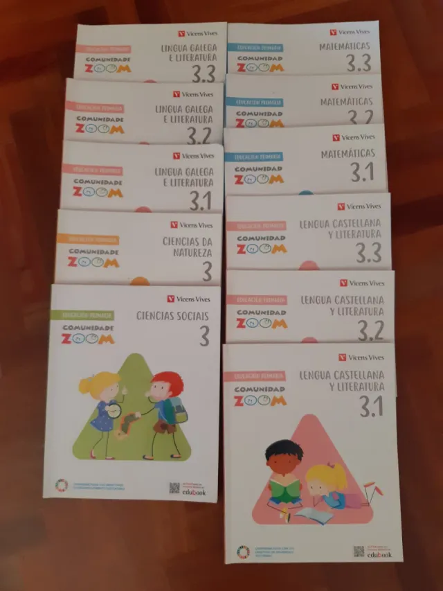 Lote libros 3 primaria Vicens Vives
