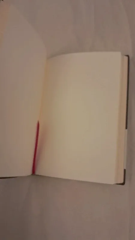 Cuaderno Paperblanks Firebird