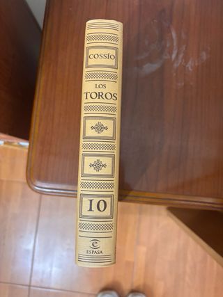 los toros