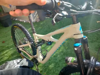 Specialized Enduro Elite 2019