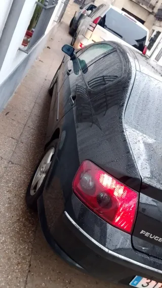 Peugeot 407 2005