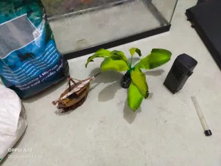 Acuario con fondo marino