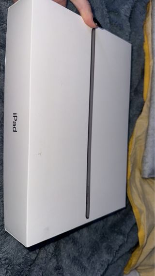 Apple iPad Argento+ apple pancil