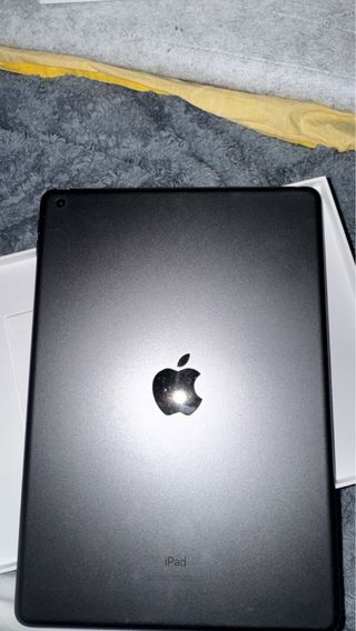 Apple iPad Argento+ apple pancil