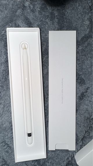 Apple iPad Argento+ apple pancil