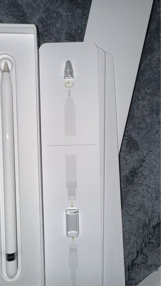 Apple iPad Argento+ apple pancil