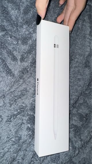 Apple iPad Argento+ apple pancil