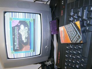 ZX Spectrum +2 con disketera externa y juegos