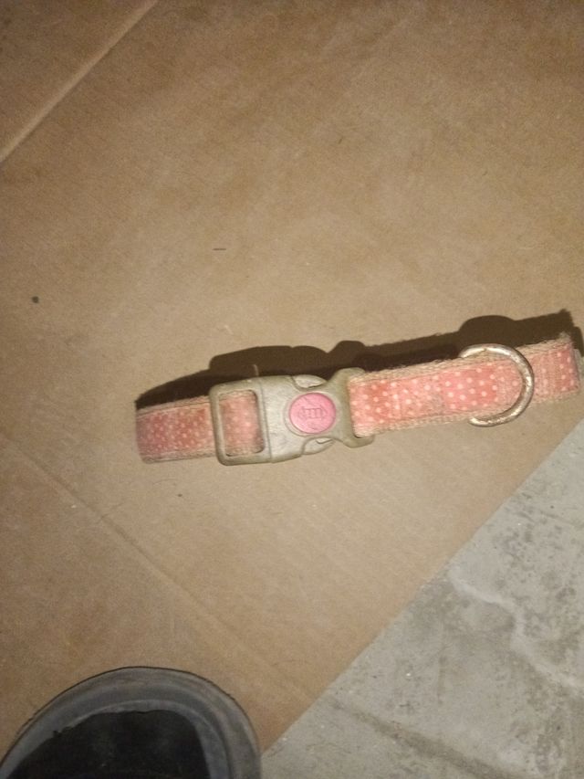 Collar para perro Ibanez rojo y rosa