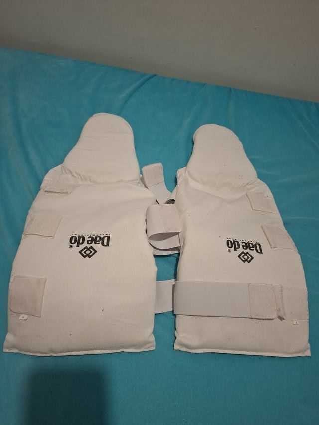 Protecciones Taekwondo Daedo