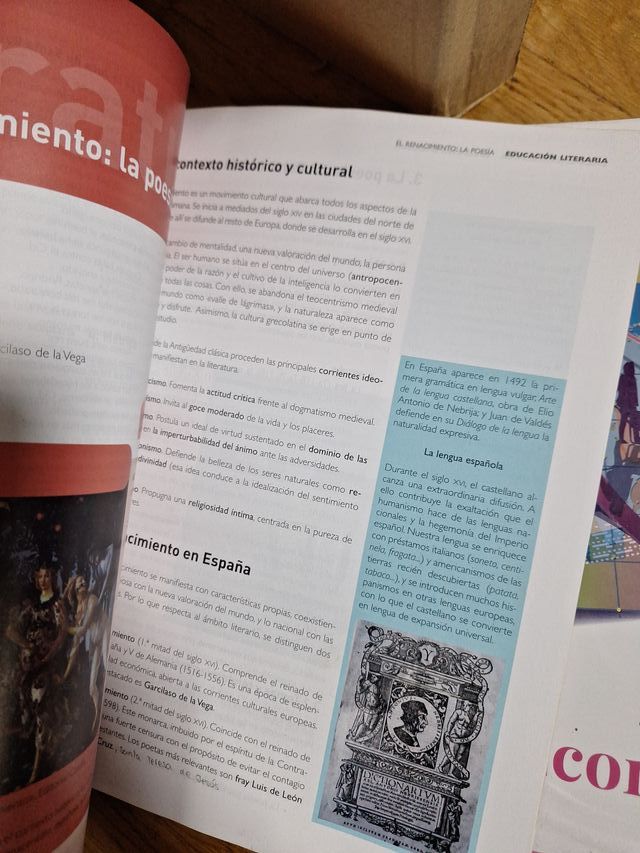 Lengua castellana y Literatura 1 BA LOMLOE