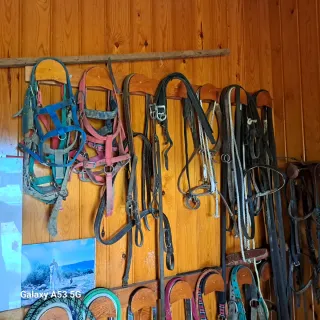 Accesorios Hípica Varios