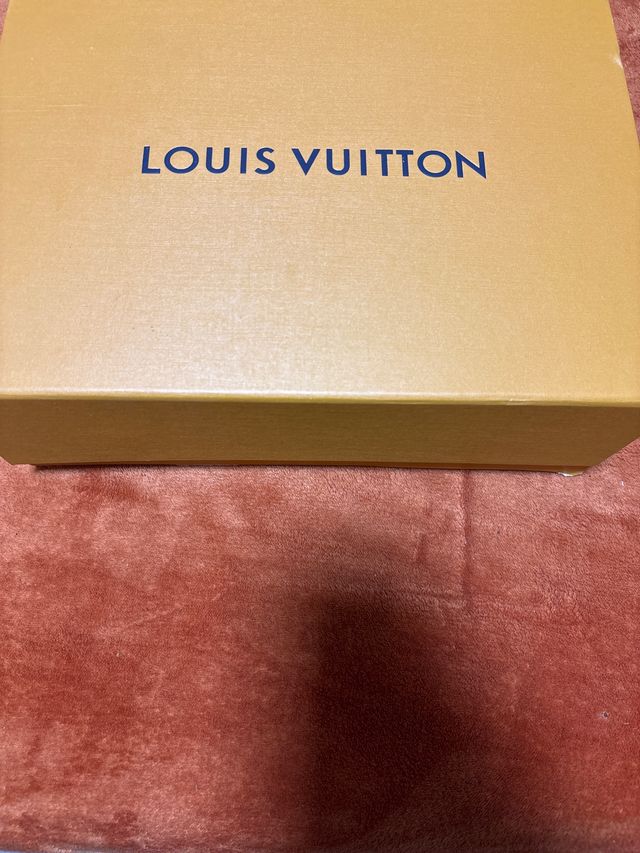 Caja Louis Vuitton Beige