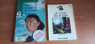 15 LLIBRES CATALÀ-VALENCIÀ PER A JOVES
