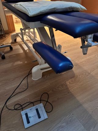 Camilla eléctrica Ecopostural de 2 cuerpos – Profe