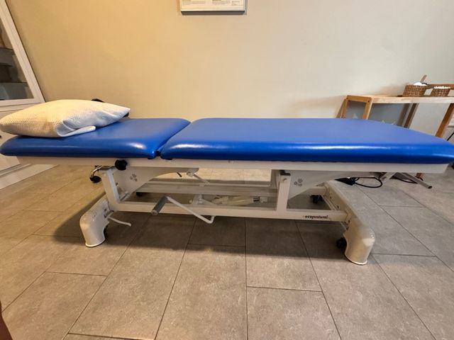 Camilla manual profesional de 2 cuerpos – tapizado