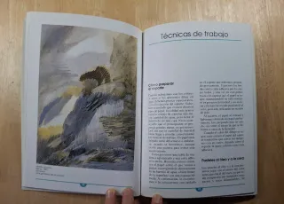 Libro Cómo Pintar a la Acuarela y a la Témpera