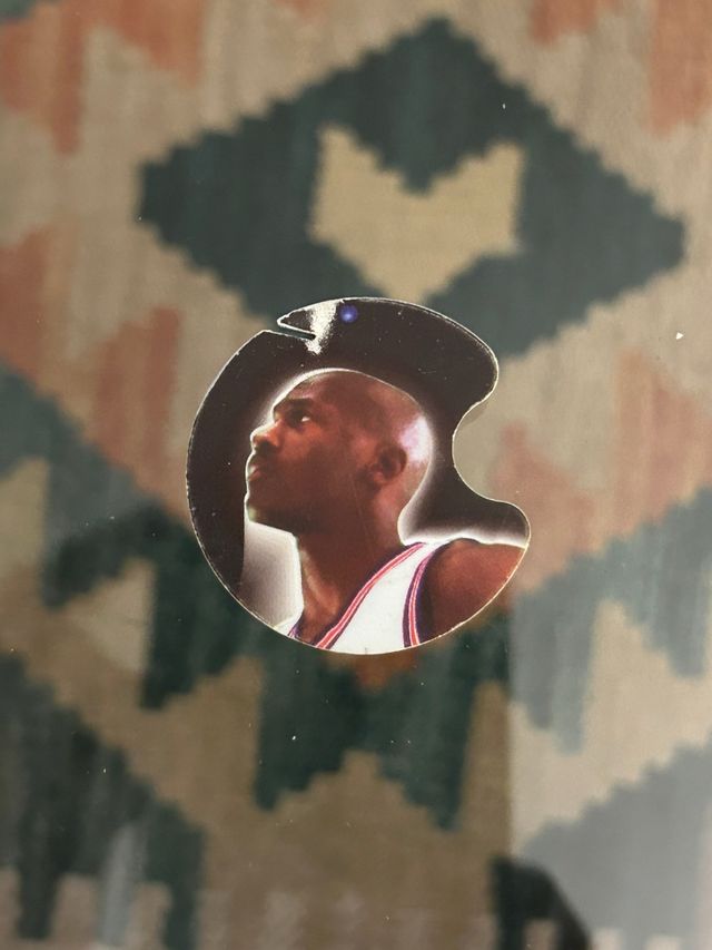 Tazo Danone Space Jam 1996 Nº 20 M