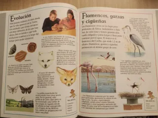 3 libros infantiles animales