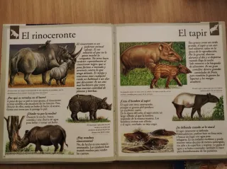 3 libros infantiles animales