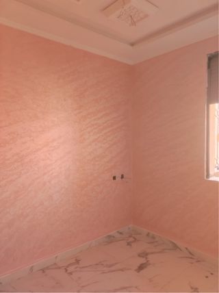 Servicios de pintura profesional