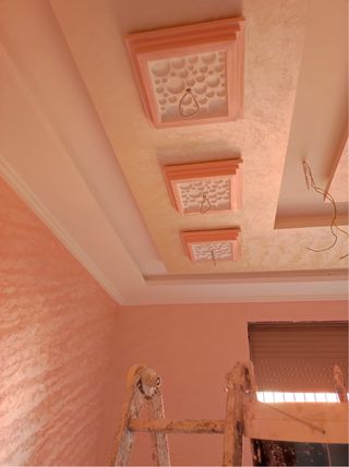 Servicios de pintura profesional