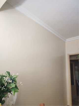 Servicios de pintura profesional