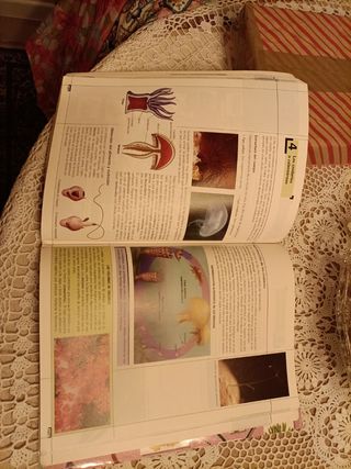 Libro Darwin 3, Biología y Geología
