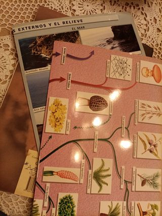 Libro Darwin 3, Biología y Geología