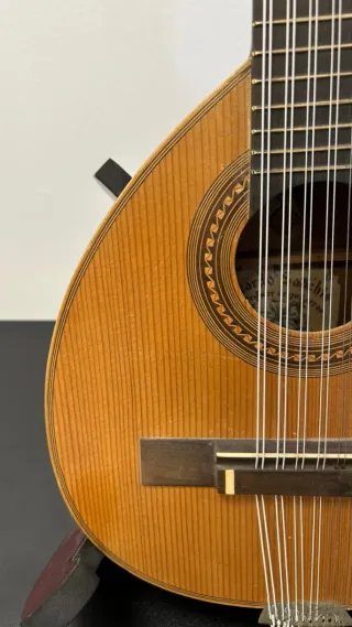 Bandurria Ricardo Sanchis Nacher